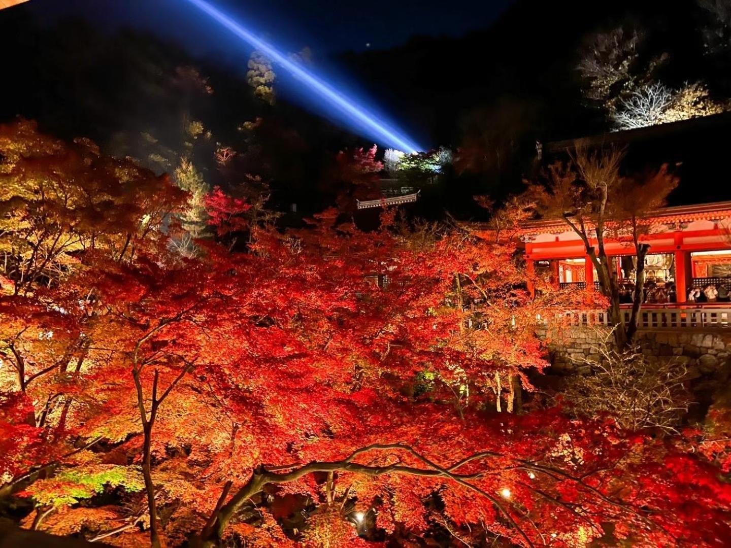Rinn Kiyomizu Gion Kyoto Dış mekan fotoğraf